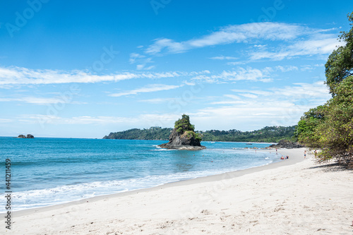 beach with trees