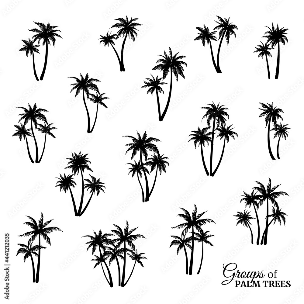 Group of palm trees silhouettes. Vector illustration Group of palm trees silhouettes. Vector illustration