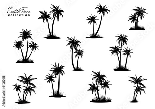 Group of palm trees silhouettes with peace of land. Vector illustration