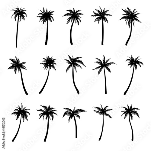 Set of black silhouettes of palm trees. Vector illustration