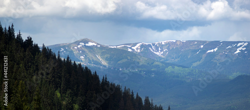 Panorama of the Carpathian mountains at the beginning of summer in Ukraine, rest and travel in the mountains © onyx124