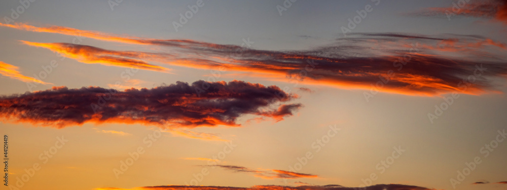 Fototapeta premium Beautiful colorful orange clouds at sunset, beautiful summer landscape in the evening