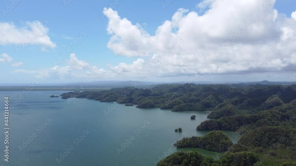 Aerial view of Los Haitises National Park. Overgrown stone floating Islands in the Atlantic ocean. Aerial view of Los Haitises National Park. Overgrown stone floating Islands in the Atlantic ocean.
