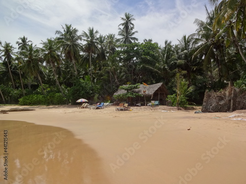 Beach near the city of Mirissa, Sri Lanka.