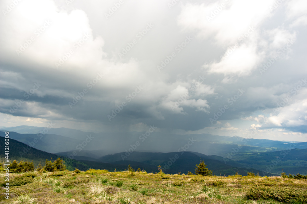 Fototapeta premium Rain and thunderstorm in the Carpathian mountains in Ukraine