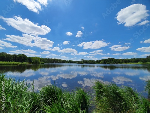 Fototapeta Naklejka Na Ścianę i Meble -  Blue sky by the lake