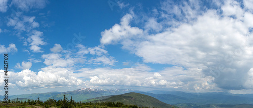 Fototapeta Naklejka Na Ścianę i Meble -  Panorama of the Carpathian mountains at the beginning of summer in Ukraine, rest and travel in the mountains