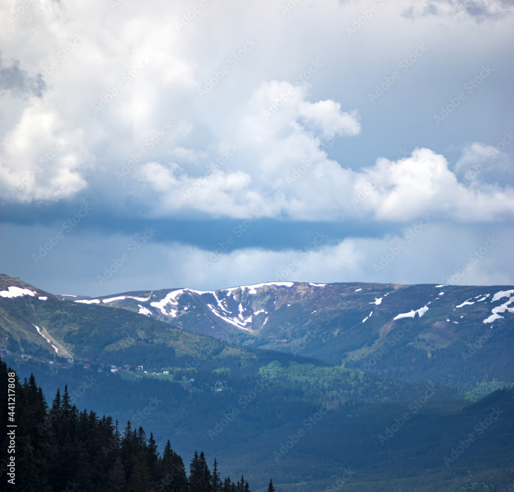 Naklejka premium Panorama of the Carpathian mountains at the beginning of summer in Ukraine, rest and travel in the mountains