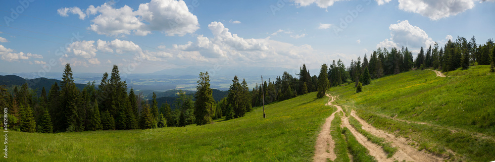 Green hill landscape. Mountain landscape on sunny day. Sunrise mountain scenery. Mountains on the cloudy sky.