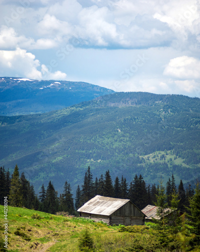Panorama of a mountain meadow  blue sky and clouds. Travel and vacation in the mountains.