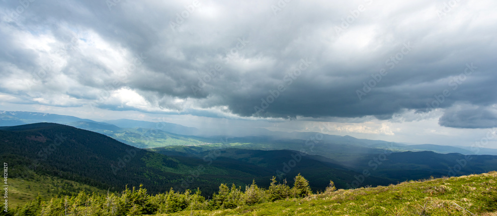 Naklejka premium Panorama of the Carpathian mountains at the beginning of summer in Ukraine, rest and travel in the mountains