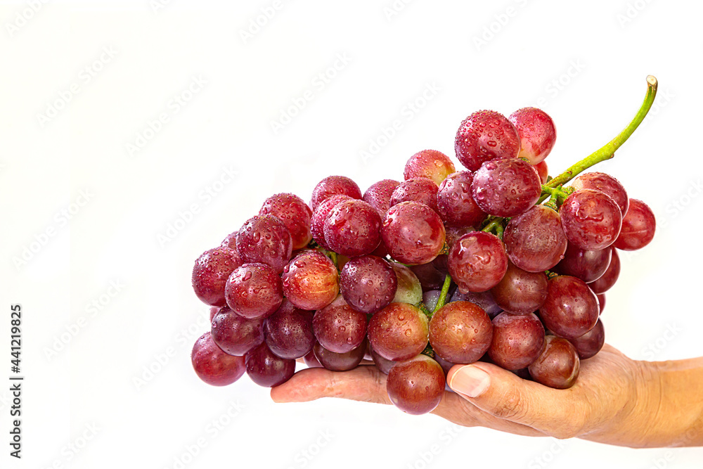 Fresh grapes are beautiful and perfect, suitable for healthy eating, healthy fruit. Fresh grapes are beautiful and perfect, suitable for healthy eating, healthy fruit.