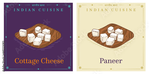 Paneer fresh Indian cottage cheese on wood board avector vintage illustration