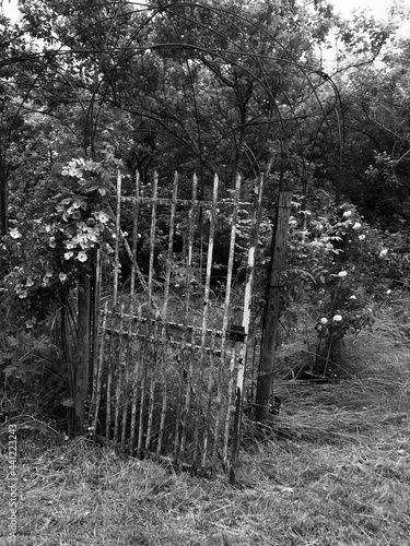 wooden fence