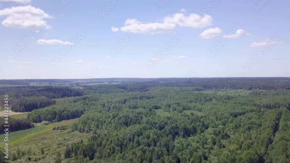 4k Aerial: Flight over summer forest at sunny day. 4k Aerial: Flight over summer forest at sunny day.