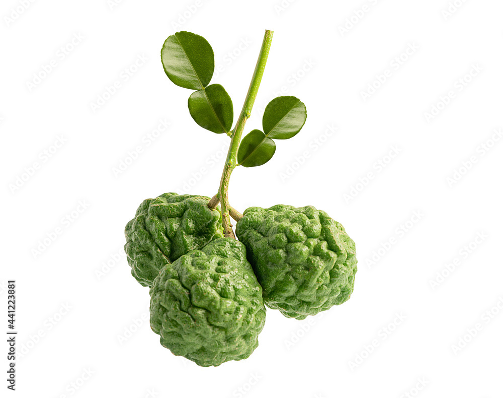 Fototapeta premium Fresh bergamot fruit with leaf on white background with clipping path.