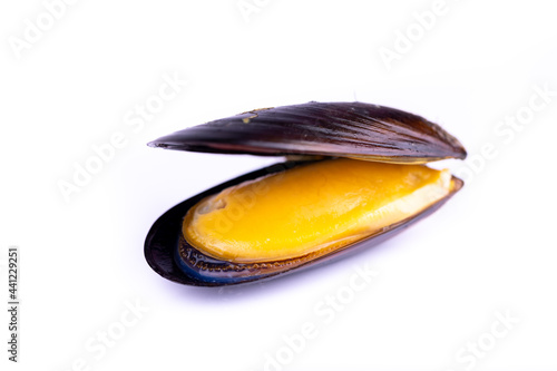 Half-opened mussel shell fish on white background