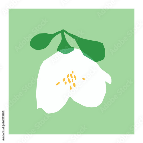 Jasmine flower paper cut vector illustration. Simple flat flower element. Minimalist plant card