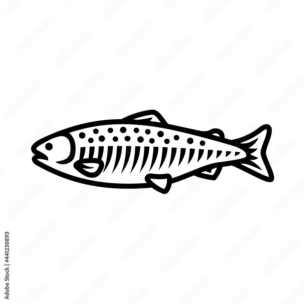 Salmon fish icon. Black line vector isolated icon on white background. Best for menus of restaurants, cafes, bars and food courts.