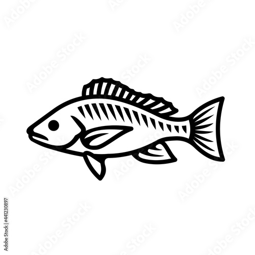 Snapper fish icon. Black line vector isolated icon on white background. Best for menus of restaurants  cafes  bars and food courts.