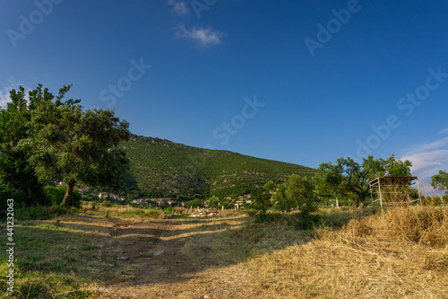 Ruins in the Ancient Messene in Peloponnese  Greece. 