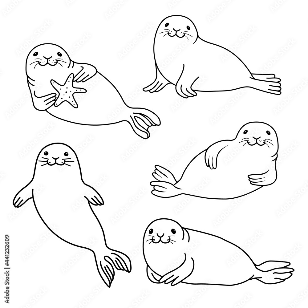 Set of fur seals. Vector hand drawn fur seal black outline isolated on ...