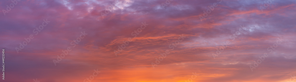 Super wide panorama of cloud blanket texture and detail brightly colorful lit up orange from below at sunset with blue tints in the background. Painterly vibrant weather condition wallpaper backdrop. Super wide panorama of cloud blanket texture and detail brightly colorful lit up orange from below at sunset with blue tints in the background. Painterly vibrant weather condition wallpaper backdrop.
