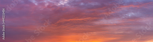 Super wide panorama of cloud blanket texture and detail brightly colorful lit up orange from below at sunset with blue tints in the background. Painterly vibrant weather condition wallpaper backdrop.