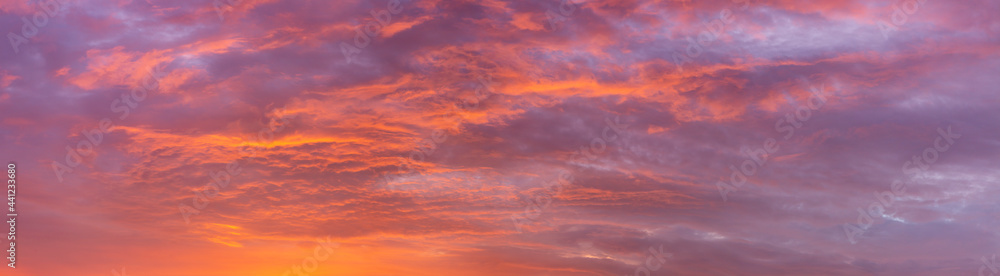 Wide dramatic panorama of cloud blanket texture and detail brightly lit up orange from below at sunset with blue tints in the background. Painterly vibrant weather condition wallpaper backdrop.