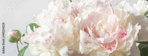 Bouquet of peonies close-up. Image for design of greeting cards on theme of wedding, Mother's Day, birthday and other greetings. Banner
