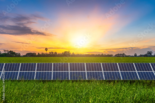 Photovoltaic solar power panel and landscape of Rice field green grass with field cornfield or in Asia country agriculture harvest with blue sky sunset background,clean Alternative power energy.