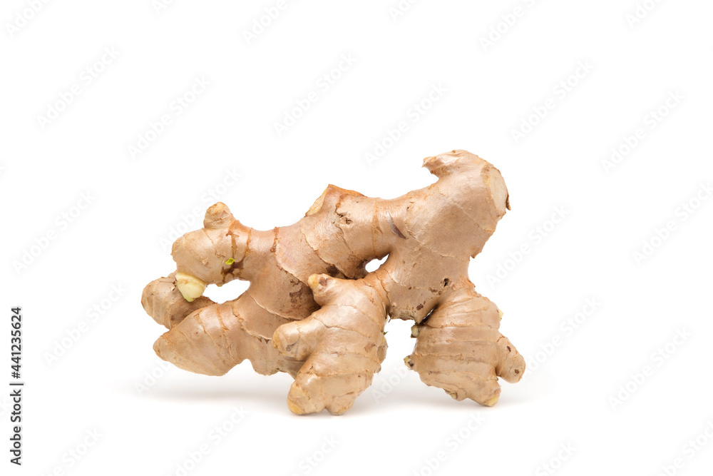 fresh ginger isolated on white background fresh ginger isolated on white background