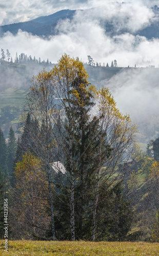 Morning foggy clouds in autumn mountain countryside. Ukraine, Carpathian Mountains, Transcarpathia.