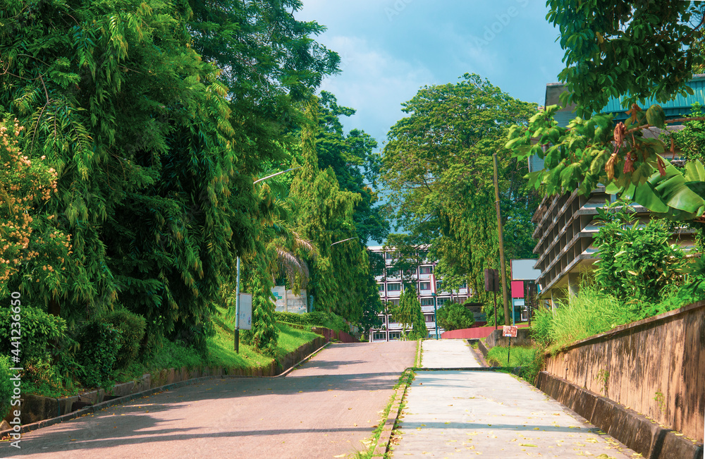 Fototapeta premium Landscape photographs of University of Lagos, Akoka, Nigeria showing trees, black and white landscape portraits and beautiful green grass and skies. no people in the image. 