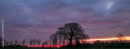 Epic morning sky with dramatic red clouds and bare trees.