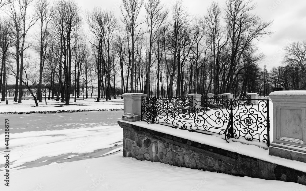 Landscapes of the parks of St. Petersburg in winter. 