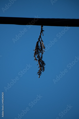 blue sky background