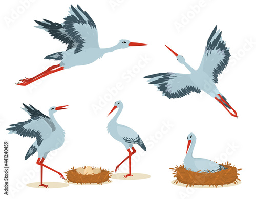 A set of vector illustrations with storks isolated on a white background