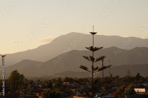 Fotografie ATARDECER DE MAIPU