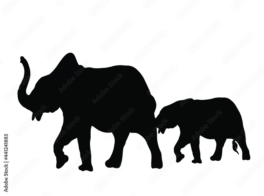 Fototapeta premium Eelephant Silhouette Vector Image