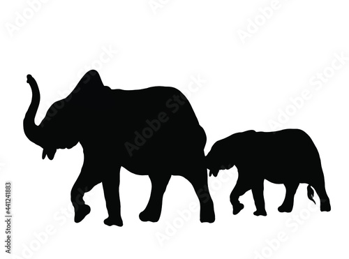 Eelephant Silhouette Vector Image