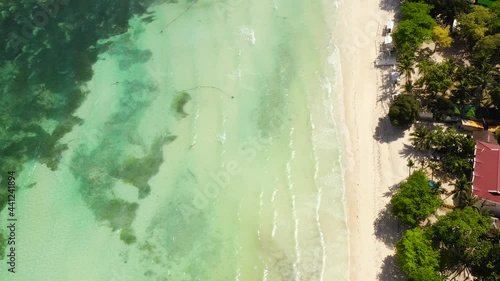 Wallpaper Mural Beautiful tropical beach with white sand, palm trees, turquoise ocean. Panglao island, Bohol, Philippines. Torontodigital.ca