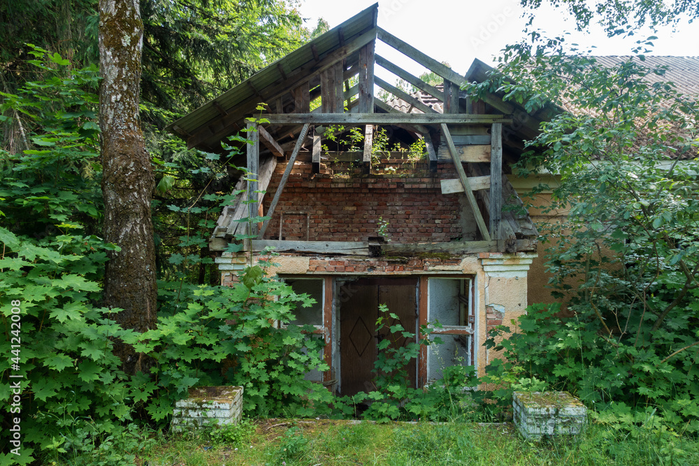 Old abandoned house in the forest. Surrounded by green bushes and trees. Old abandoned house in the forest. Surrounded by green bushes and trees.