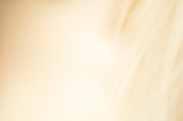 blur abstract gold background texture with banner background