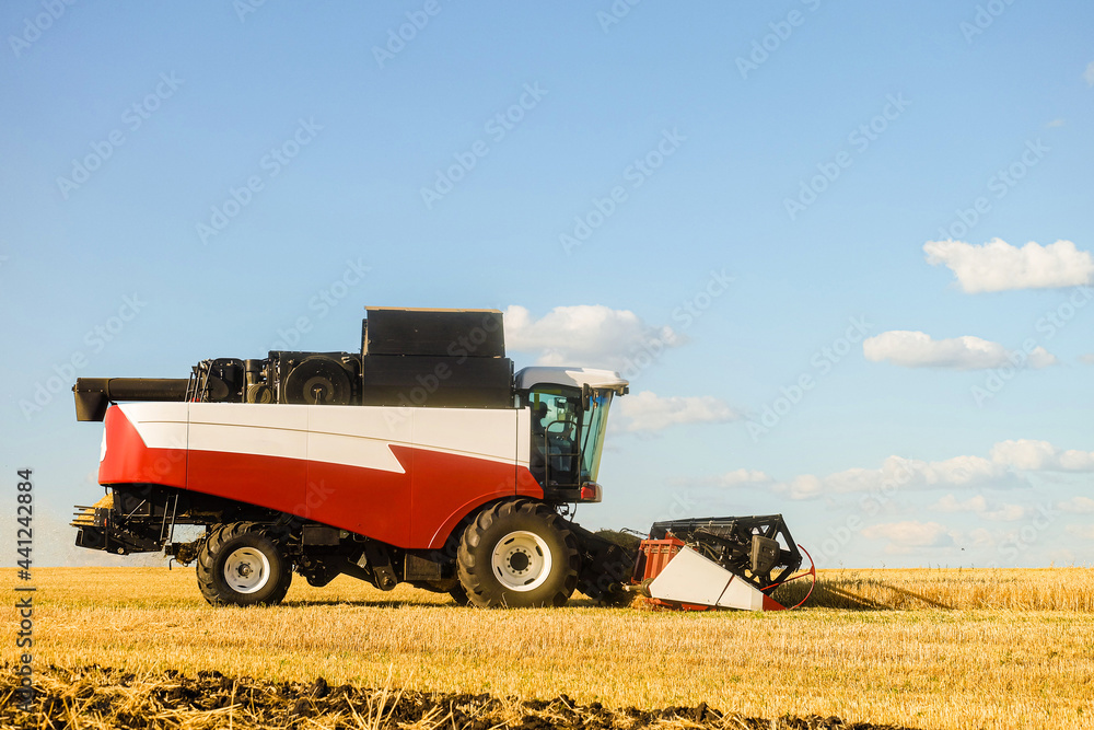 Fototapeta premium Combine harvester with cutter platform at work. Side view.