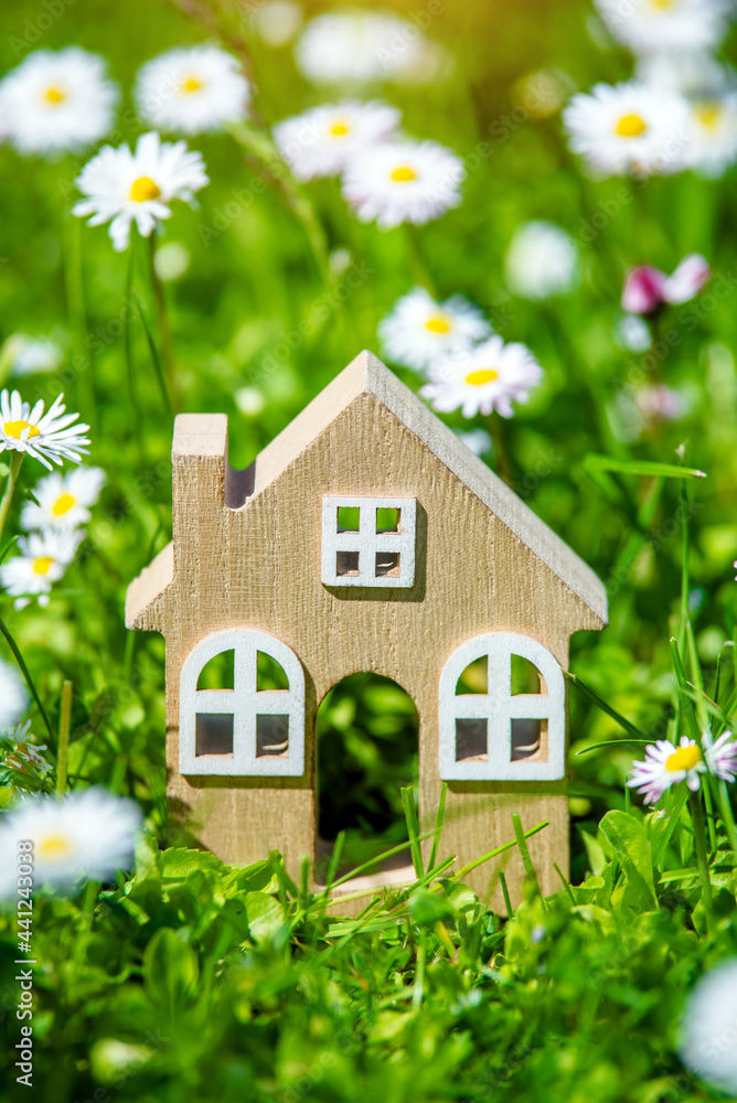 The symbol of the house stands among white daisies
The symbol of the house stands among white daisies