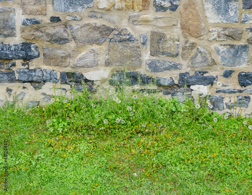 Grass in front of stone wall