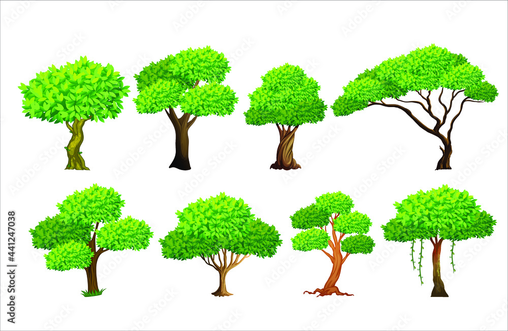 Fototapeta premium defferent collection of trees vector illustration.