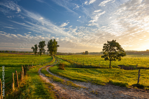 Fototapeta Naklejka Na Ścianę i Meble -  A field road between pastures and meadows at sunrise near the village of Gamerki Wielkie in Warmia and Mazury in Poland