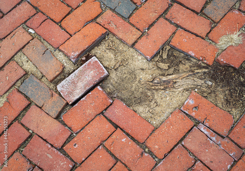 Textured pattern of old weathered  brick pavers, tree root and dirt with empty negative space for background design..